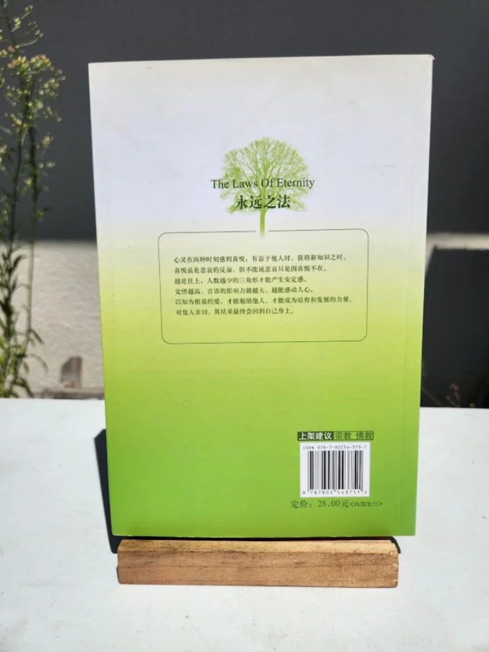 The Laws of Eternity by Ryuho Okawa Chinese edition Happy Science Religious Move